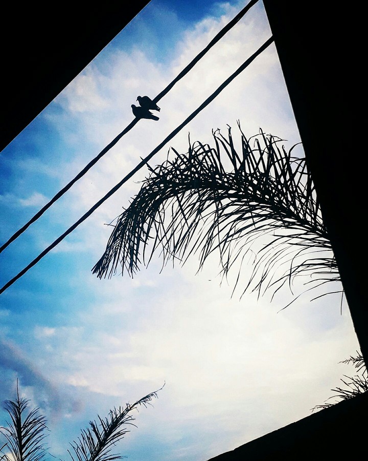 The Beauty Of Nature