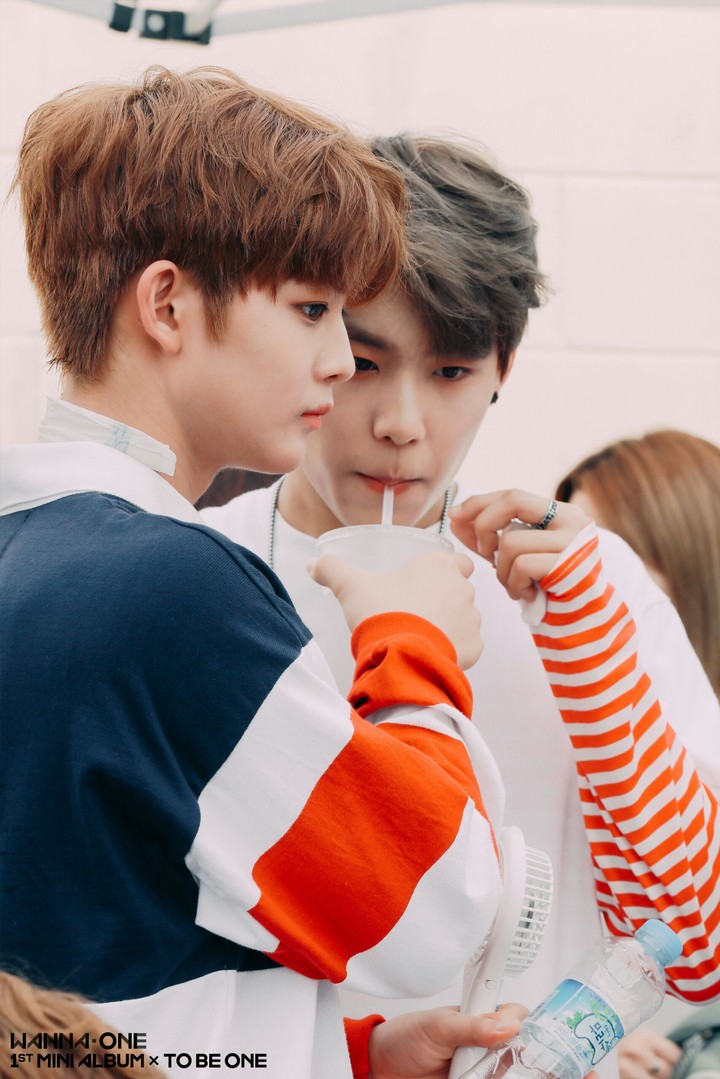 WANNA ONE