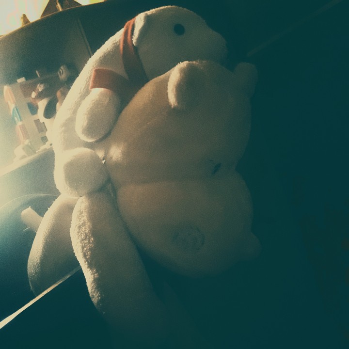 Urso da coca e seu amigo Hipopótamo