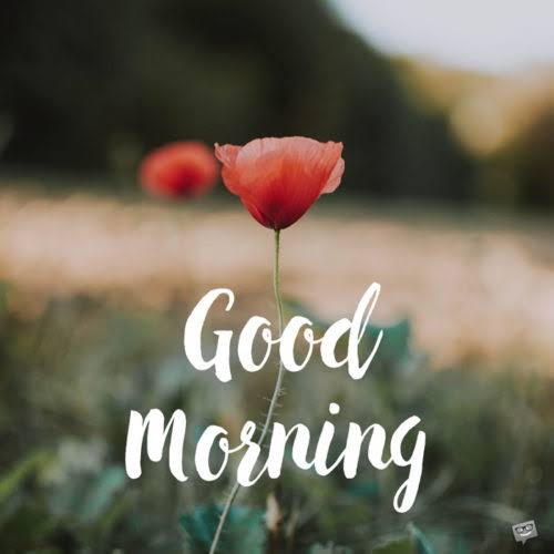 morning