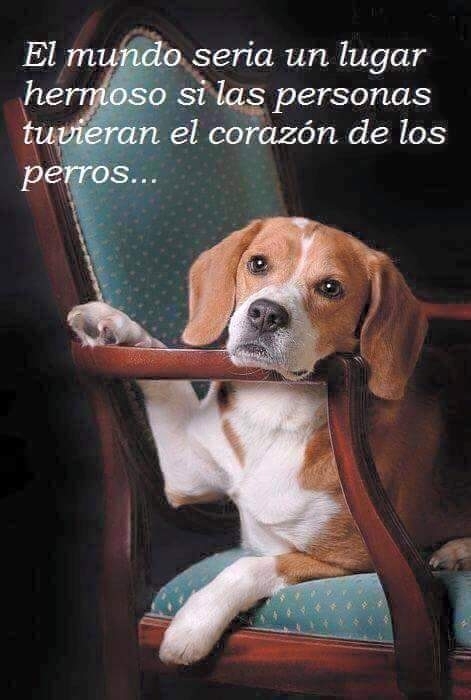 Frases.