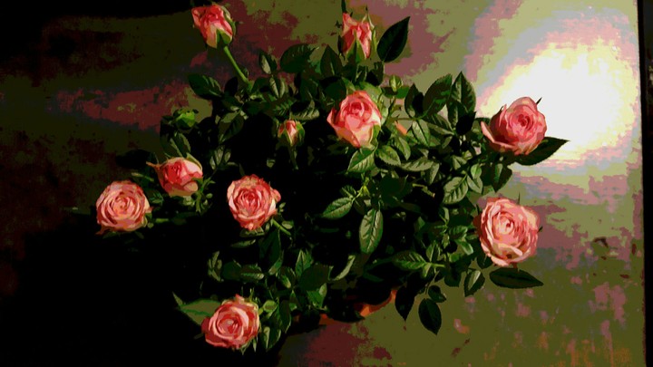 Rosen
