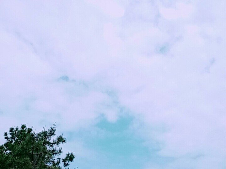 Busan