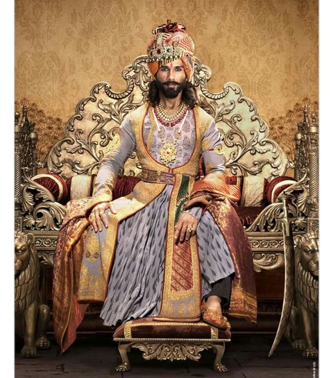 king's off Chittorgarh Fort