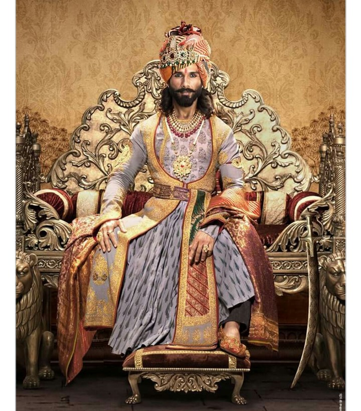 king's off Chittorgarh Fort