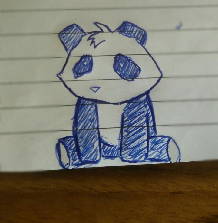 Panda Sketch by choubeyaakash77