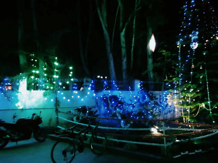 Christmas Fever