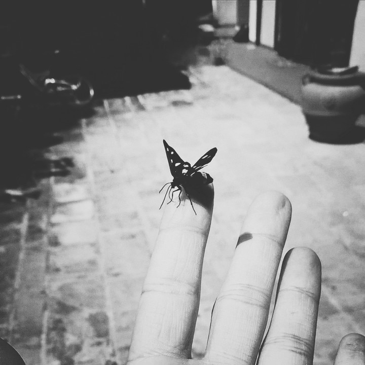 black and white