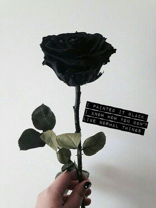 black is beautiful