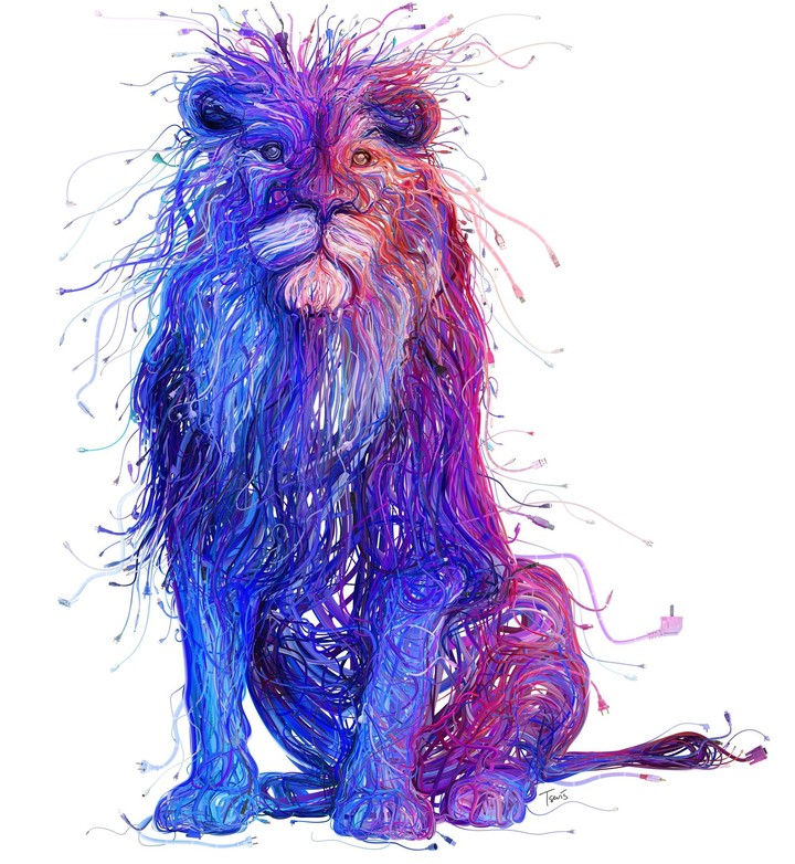 wired lion 