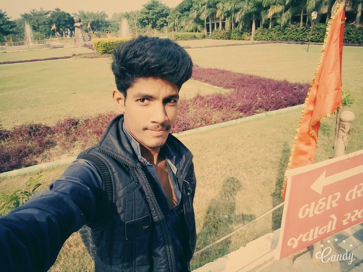 enjoy