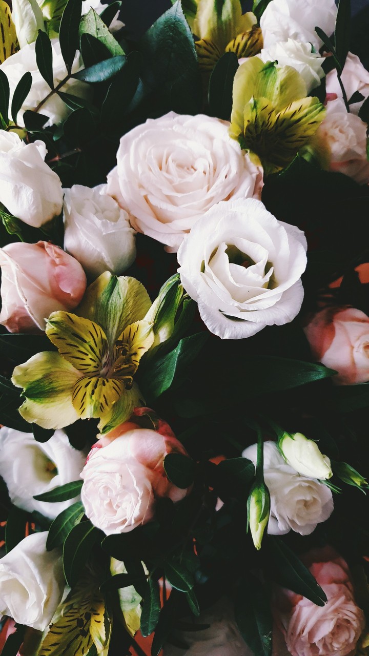 bouquet