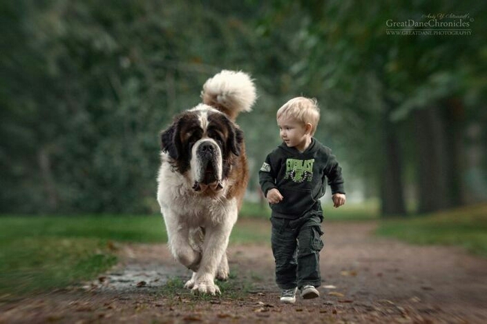 friendship