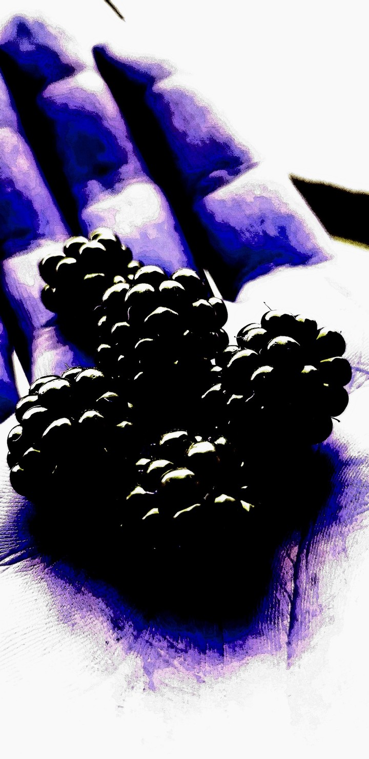 purpleberries