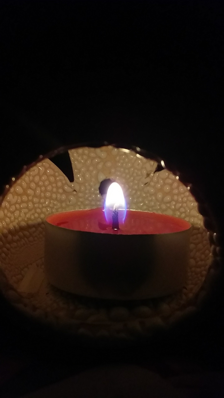 Vela