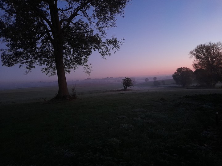 Mist in the valley