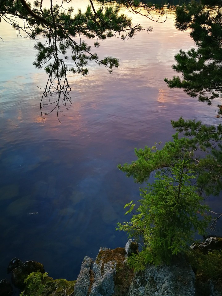 Summer evening