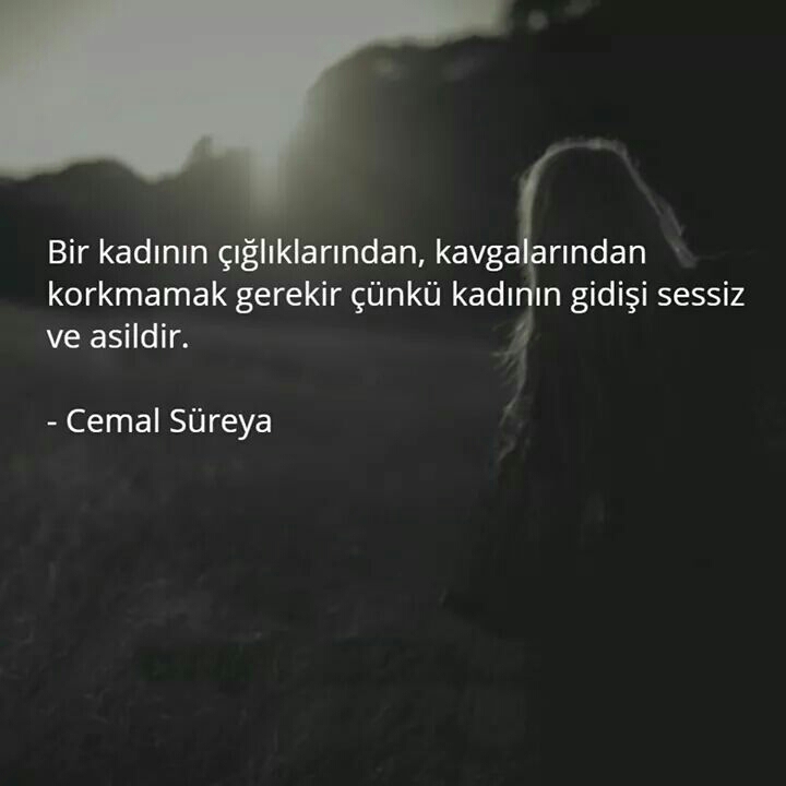 cemal sureya