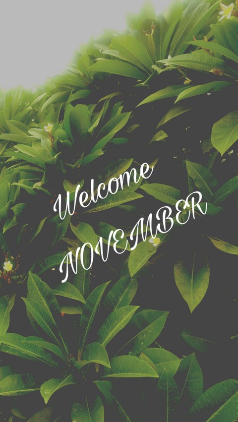 november❤❤
