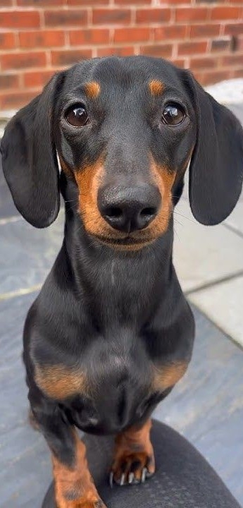 .