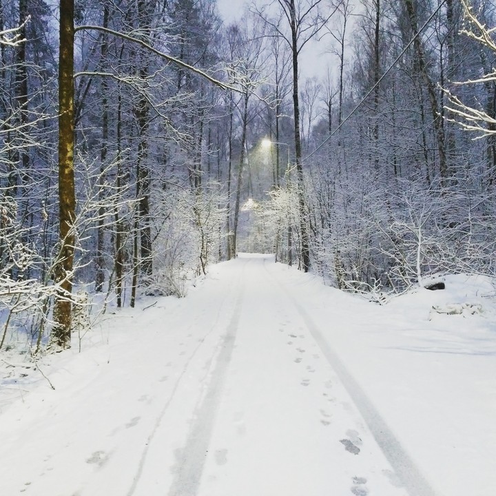 winter is beautiful