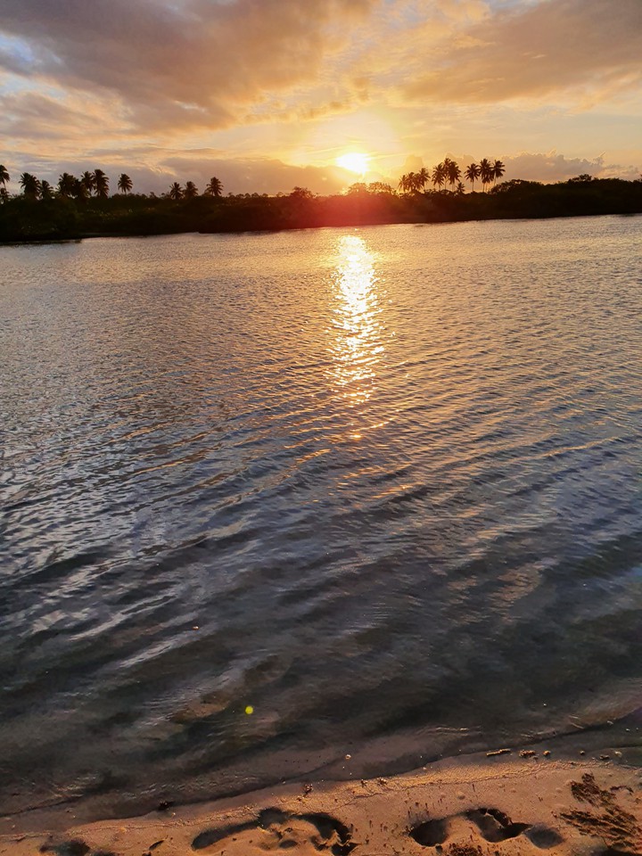sol