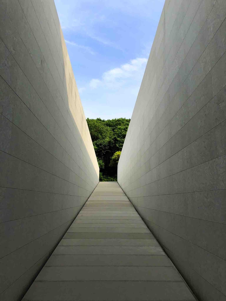 wall