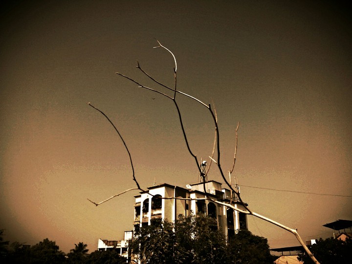 ventige drama. editing makes it totally different