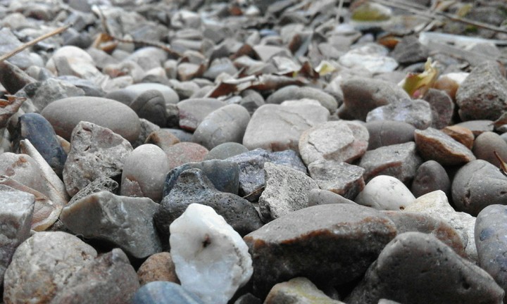 stone family