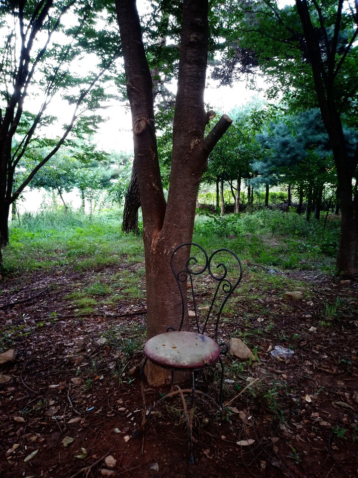 chair