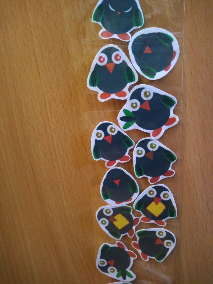 Birds