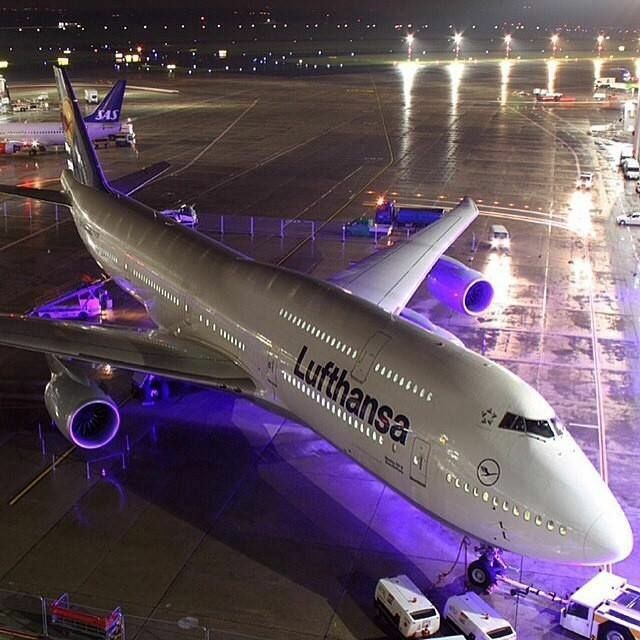 Lilac - B747, Lufthansa