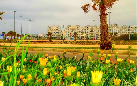marruecos, primavera wallpapers