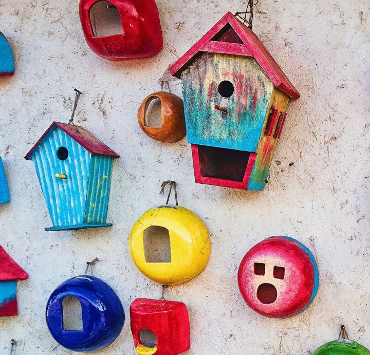 bird home