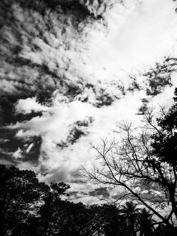 BLACKANDWHITE NATURE