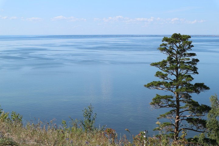 Жигули