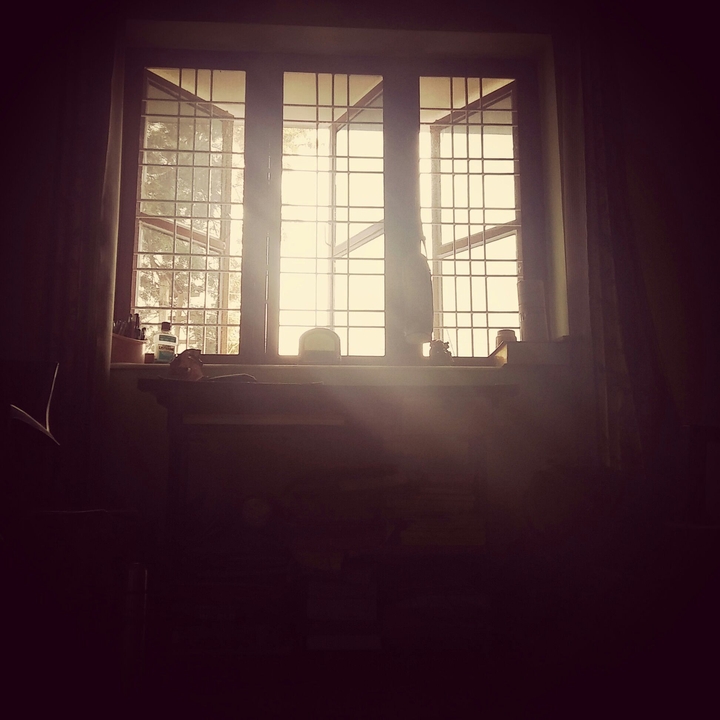 Morning