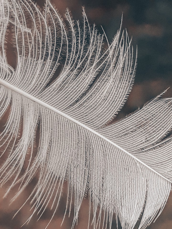 details. .