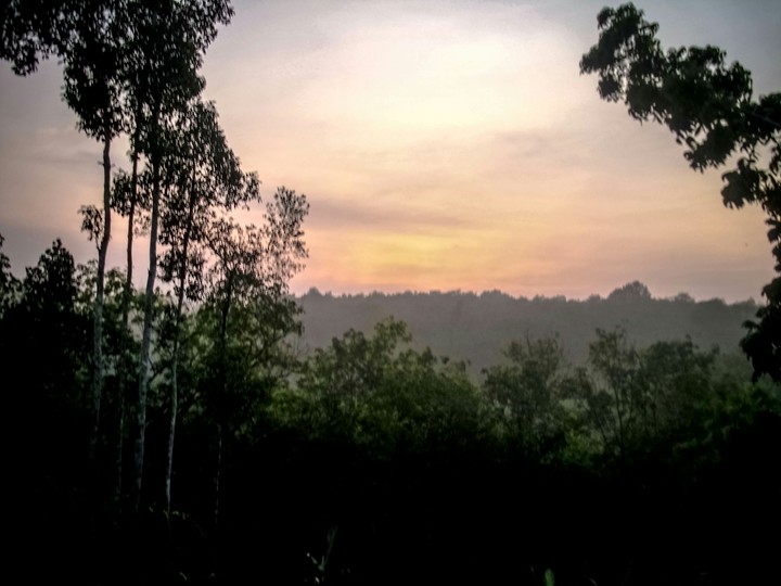 sunrise
