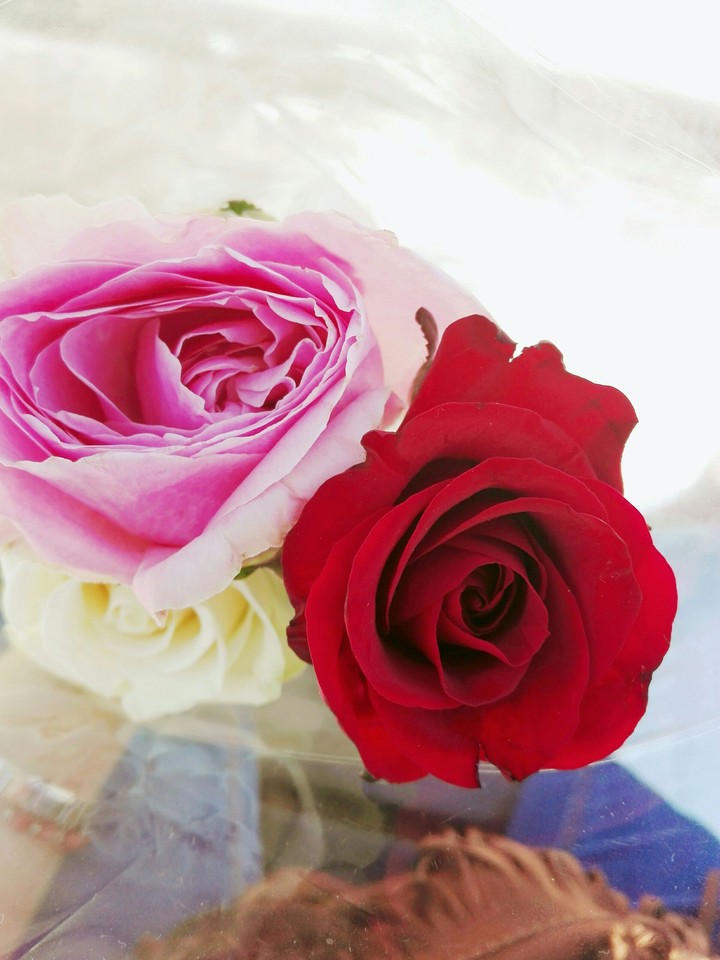 Red, Pink and White