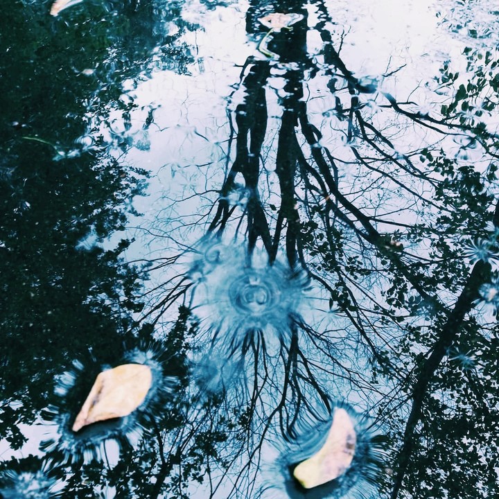 осень