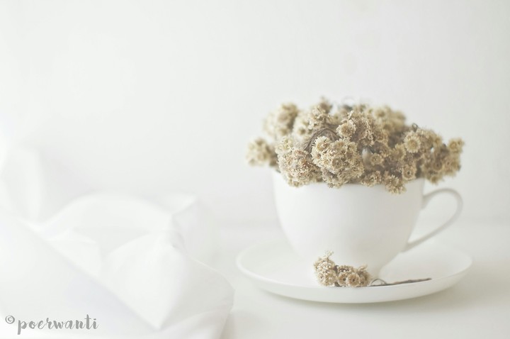 A Cup of Edelweiss