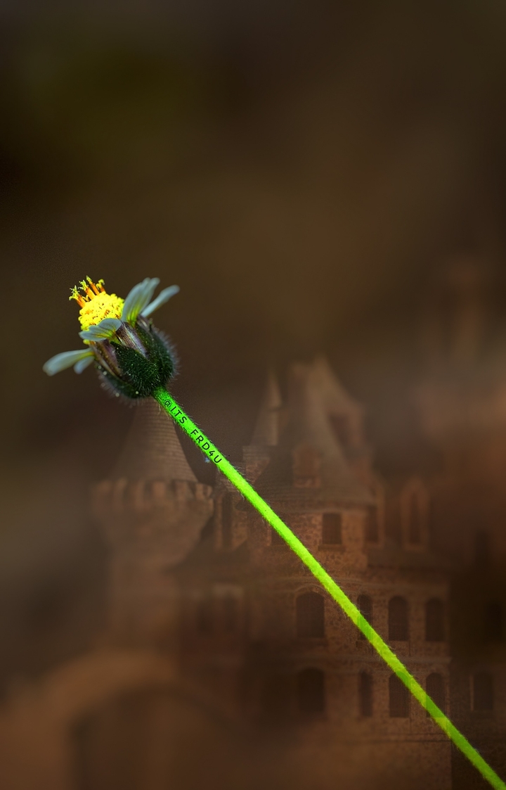 villa flower