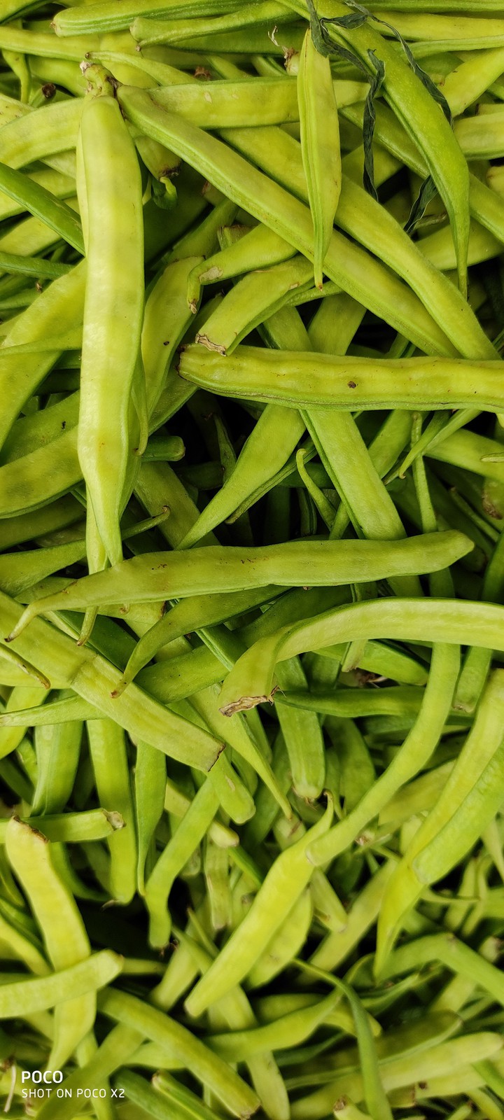 Vegetable