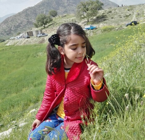 نازی جونم