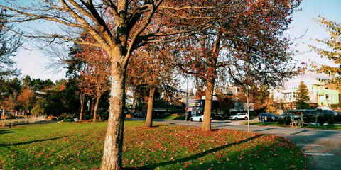 Park