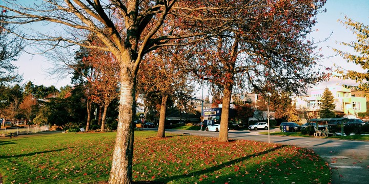 Park
