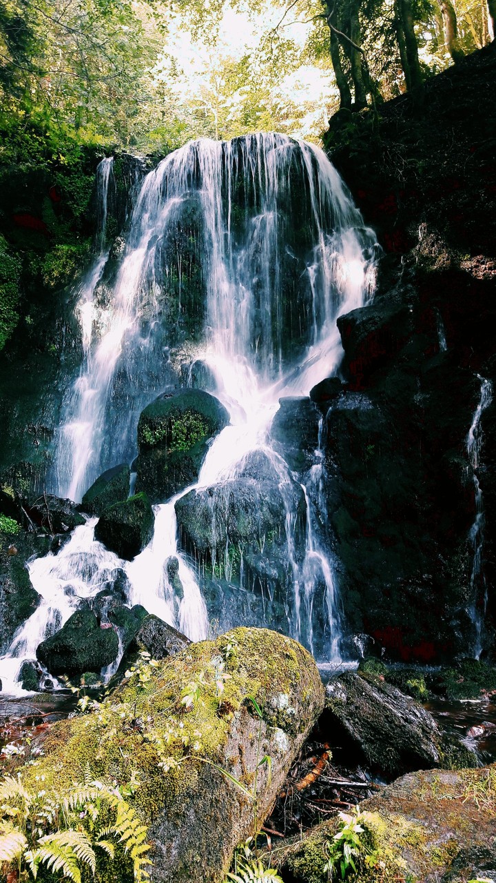 Cascade