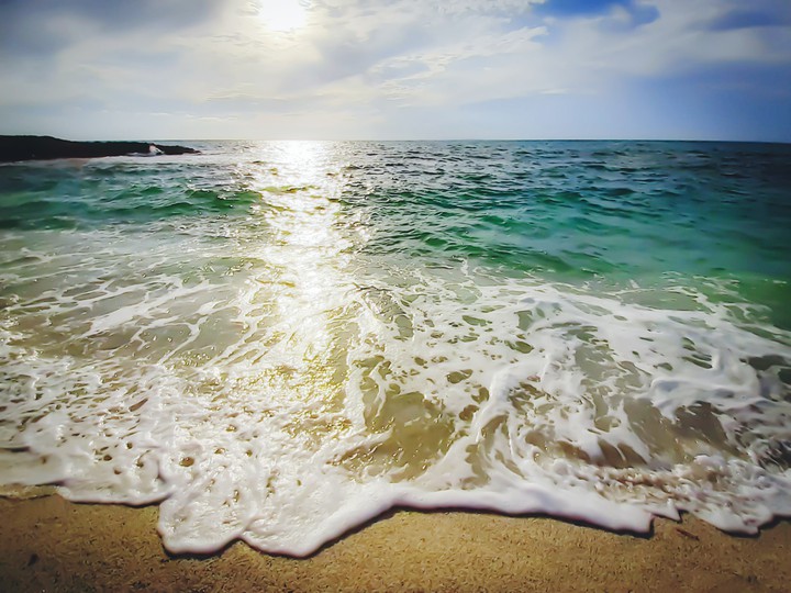 wild Sardinia