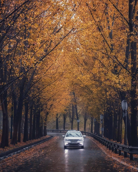 car, 旅遊桌布